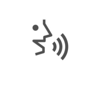EAH-A800 Voice assistants