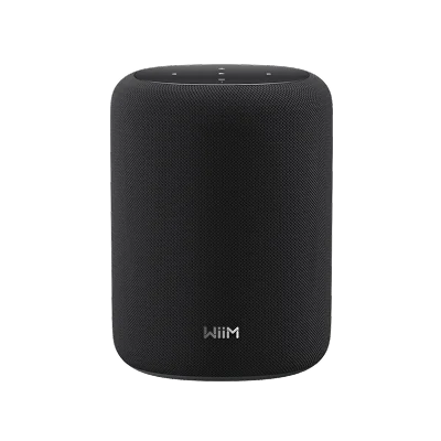 WiiM Sound Lite Wireless Speaker