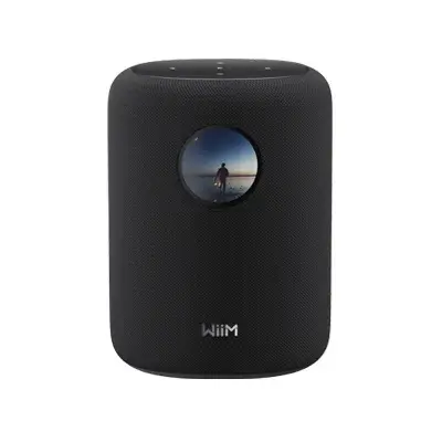 WiiM Sound Wireless Speaker
